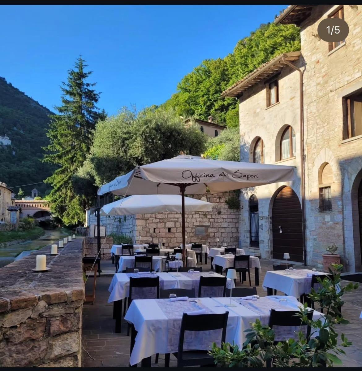 Gattapone Gubbio